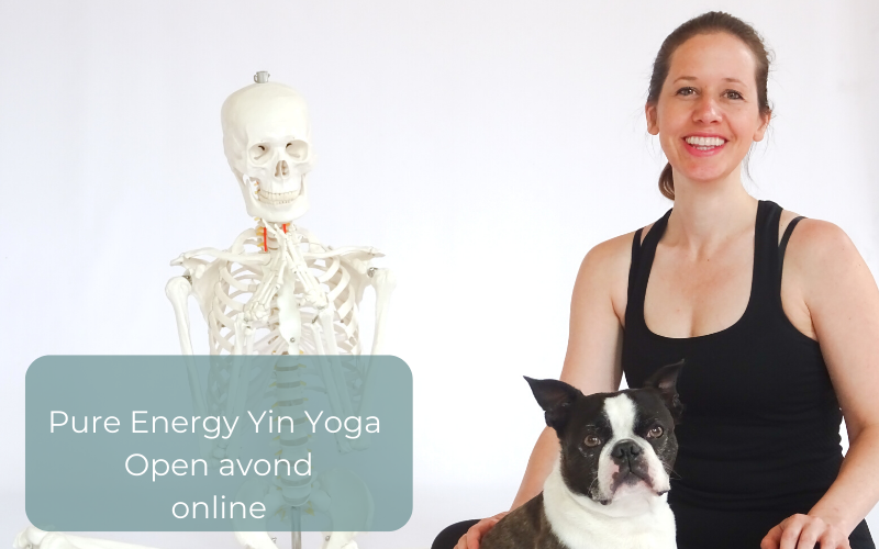 Yin Yoga opleiding online open avond